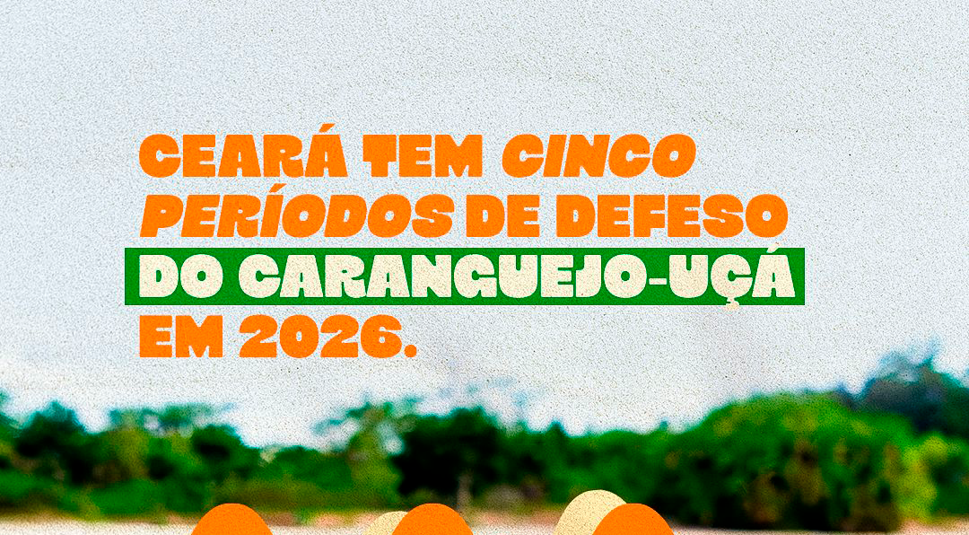Divulgado calendário de defeso do caranguejo-uçá no Ceará